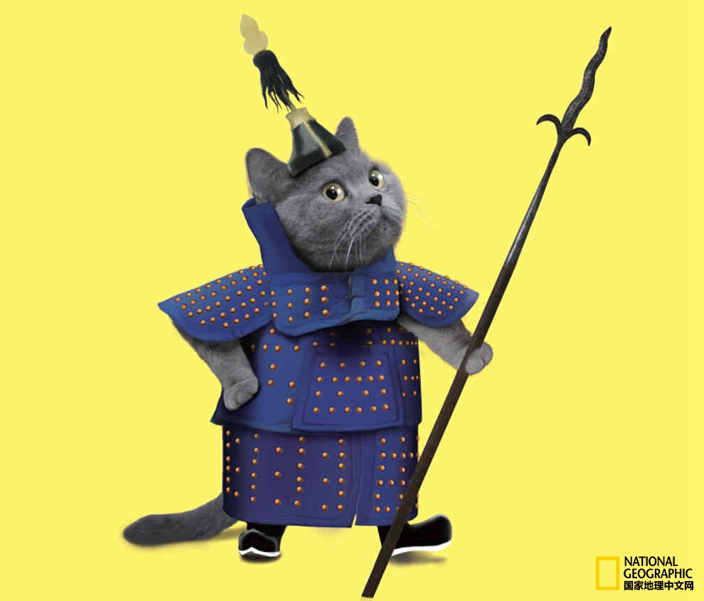 观复博物馆的猫馆长