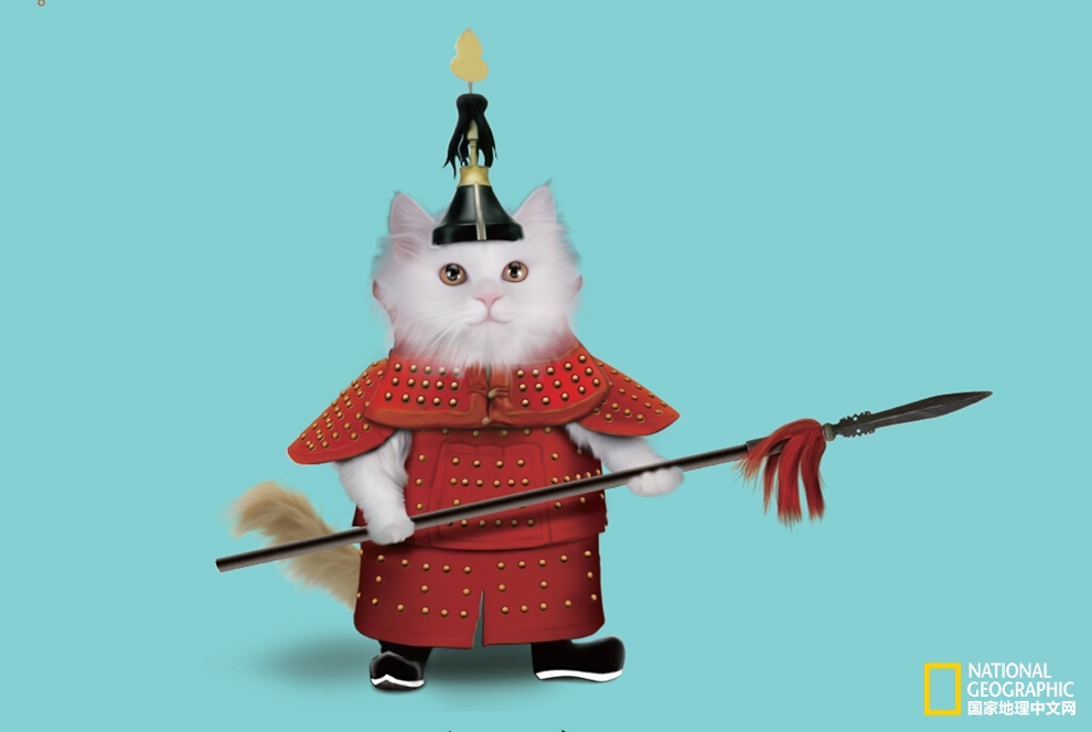 观复博物馆的猫馆长