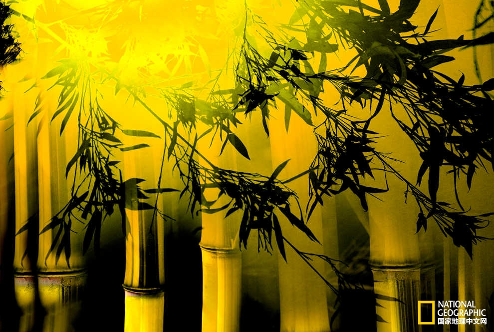 难道走入了梦境?只看了一眼,就被这些多重曝光作品瞬间美入心扉!