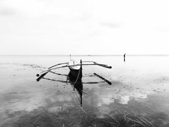 海
